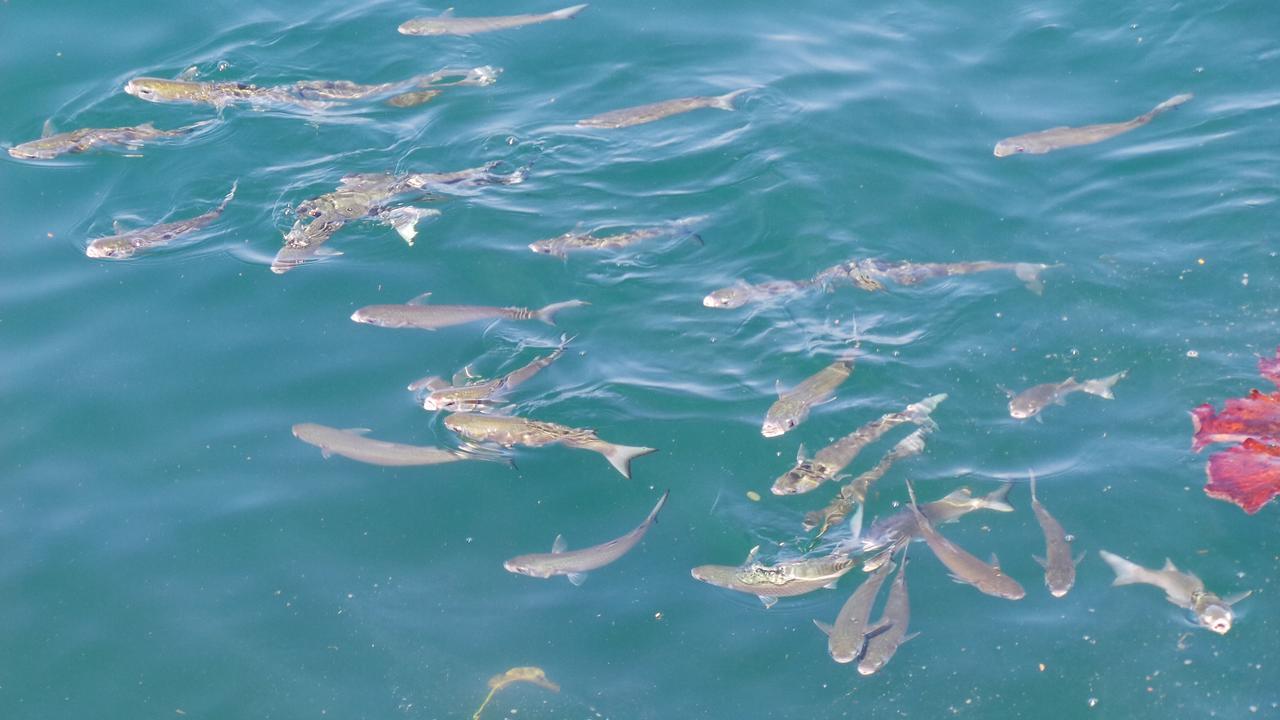 Ocean Green Flats Angra dos Reis Exterior foto